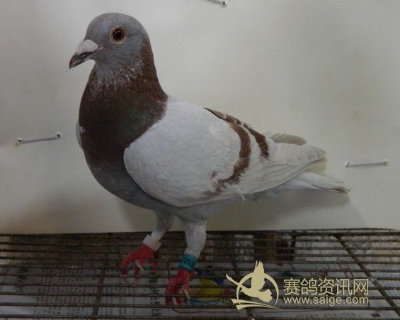 必须署上作者的名字,同时注明