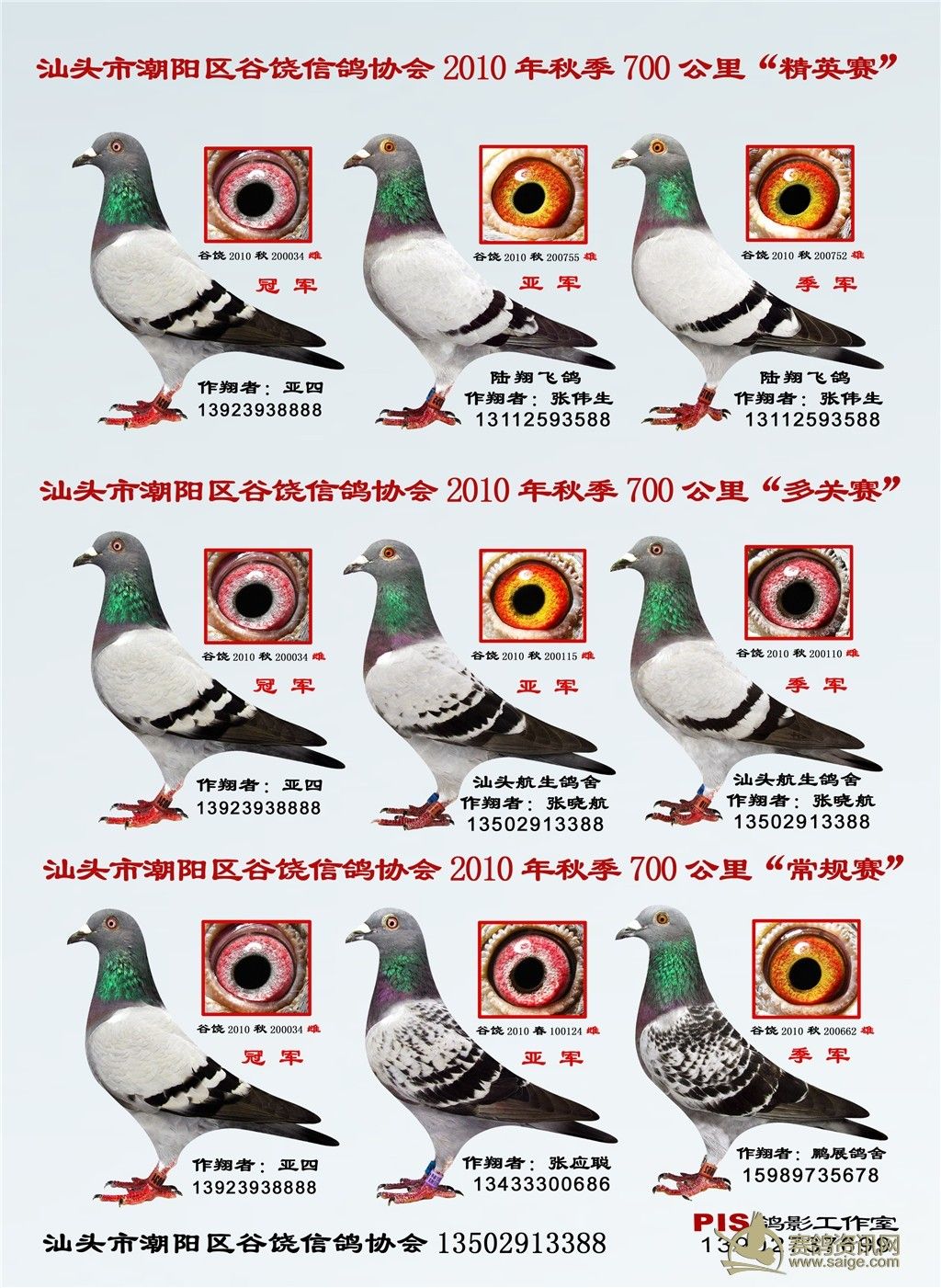 2010＾ĸ