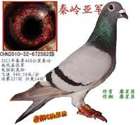 �Ҿ���