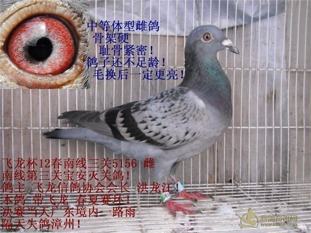 必须署上作者的名字,同时注明