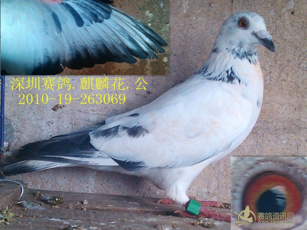 必须署上作者的名字,同时注明