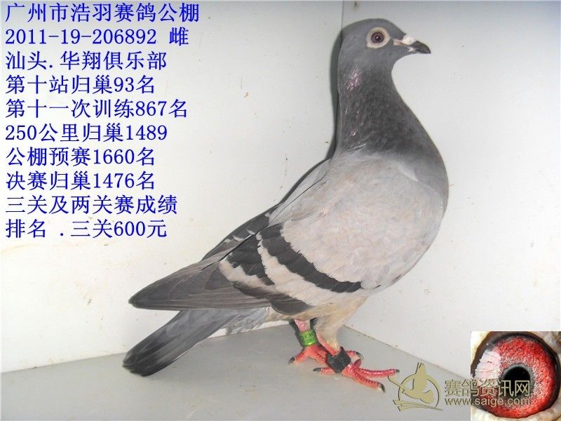 浩羽公棚.华翔俱乐部