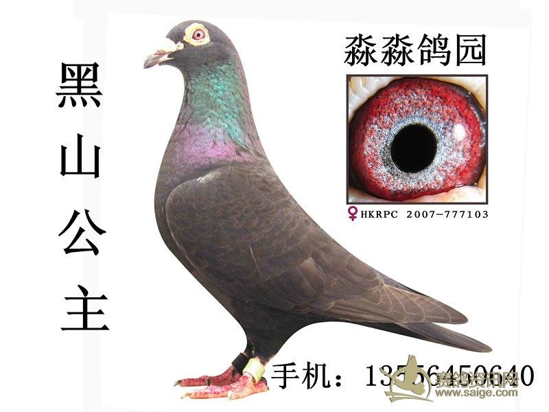 3faaf4ed-535d-401a-8b08-58c9ab0d2818.jpg
