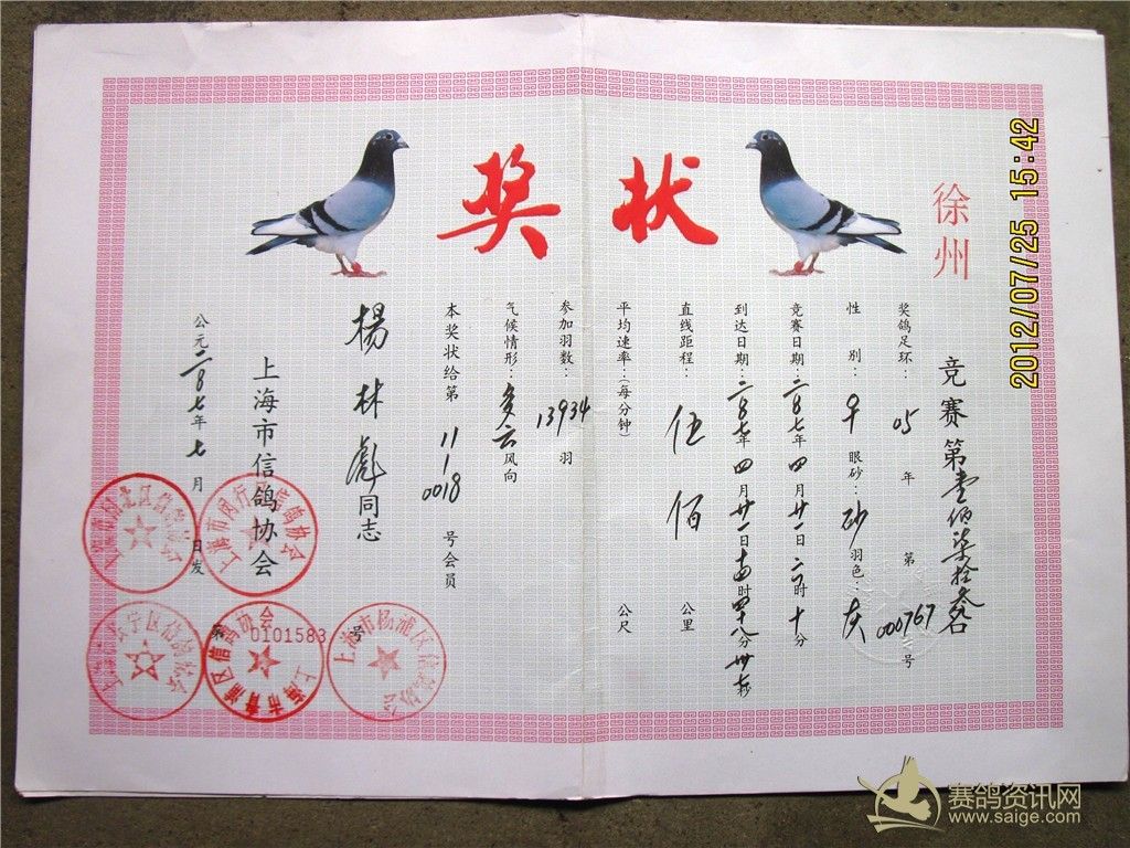 新到:上海大名家:杨林彪:永胜鸽舍