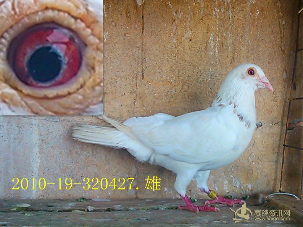 必须署上作者的名字,同时注明