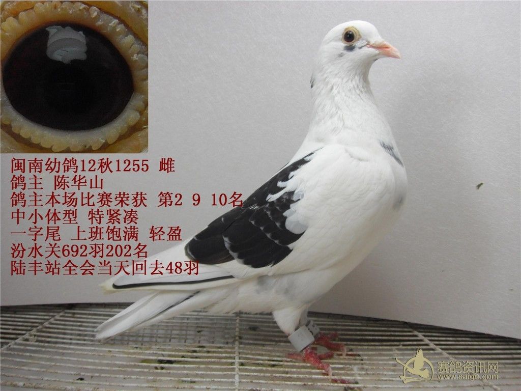 必须署上作者的名字,同时注明