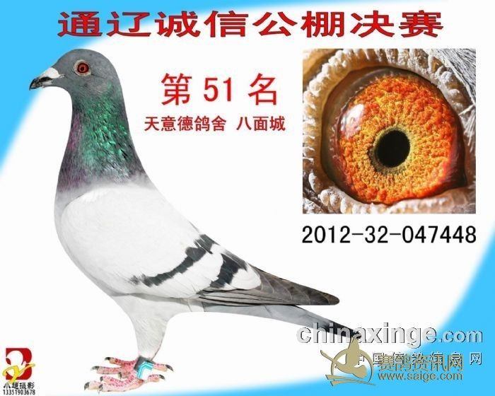 ���ɹ�ͨ�ɳ��Ź������3818��51�������206��