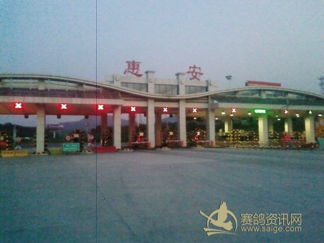 惠安站出口_俱乐部动态_惠来得胜赛鸽中心 - 赛鸽资讯网