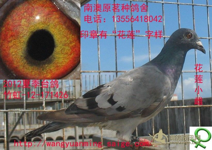 066ee653-e2a8-474b-9cec-eb6d862bae20.jpg