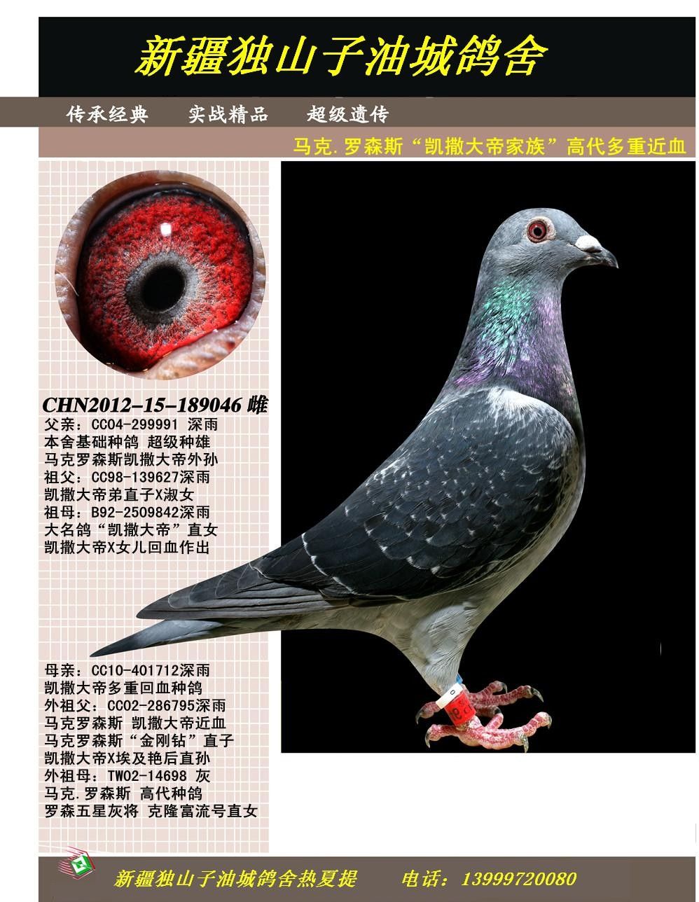 马克罗森斯