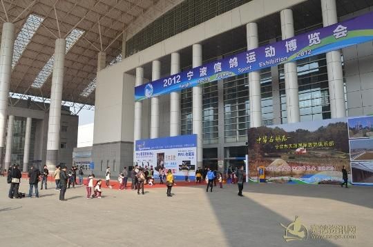 新闻纪要:2012宁波信鸽运动博览会开幕_日志