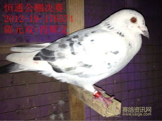 必须署上作者的名字,同时注明