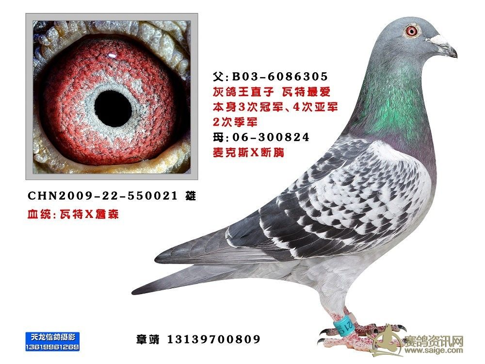 60a7a9ff-da4a-4813-a4c8-7b94074a2ad3.jpg
