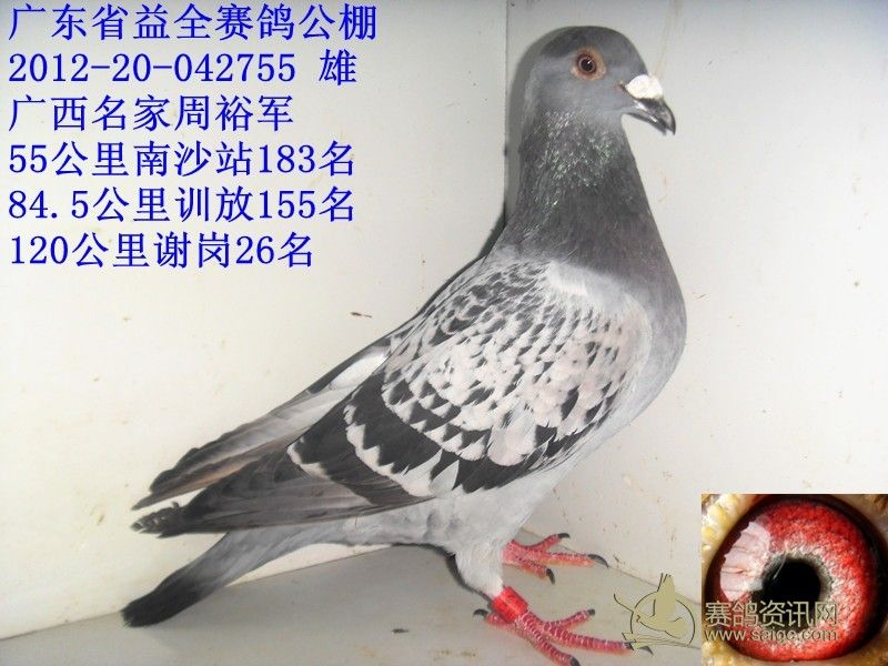 益全专环大奖赛广西名家周裕军已售