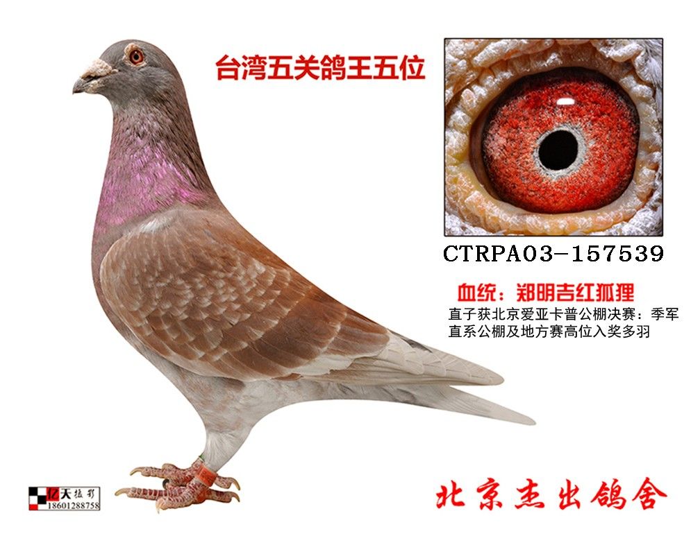 m12                       Ÿ 㻷:crpa-03