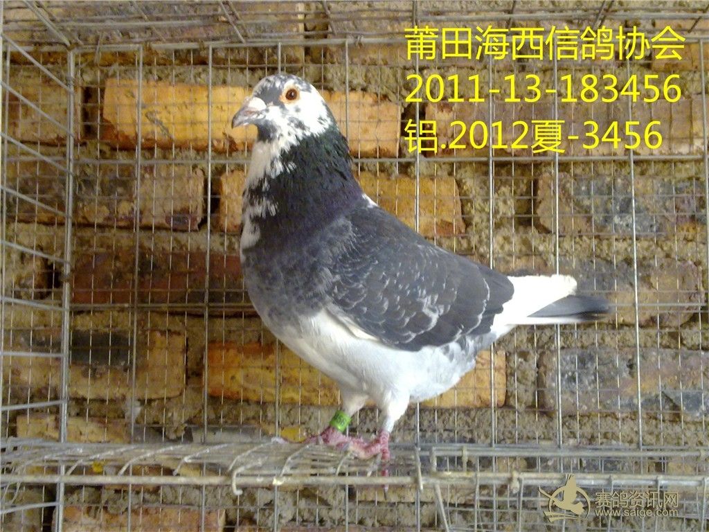 必须署上作者的名字,同时注明