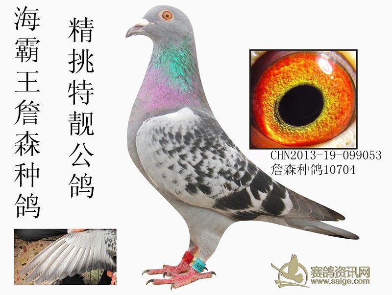  ղɭָ뻷