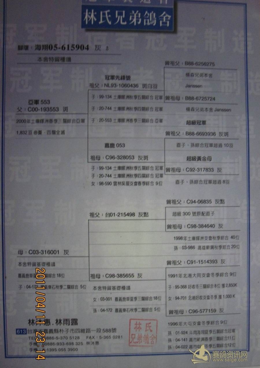 台湾林氏兄弟林沐惠林雨露冠军先锋号直系