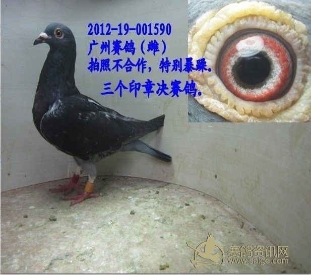 2e8f96ed-37fc-429f-998d-e18bb80aa4f8.jpg