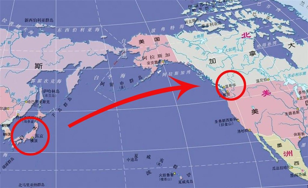 日本信鸽飞越太平洋,在加拿大空军基地被发现