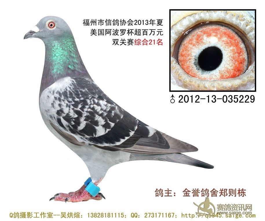 �����ޱ��ۺ�21��
