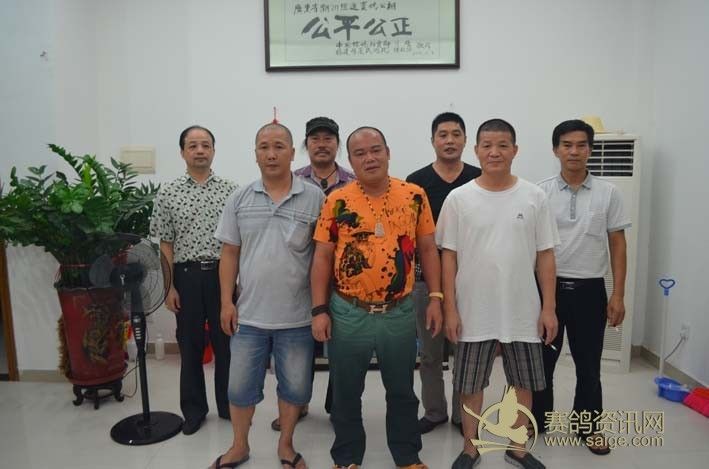 广东恒通公棚50公里(资格站)训放集鸽图片