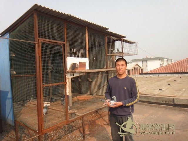 翼展赛鸽俱乐部300公里比赛验棚图