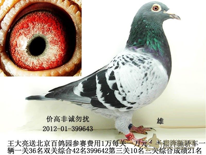 王大亮一关36名双关综合42名