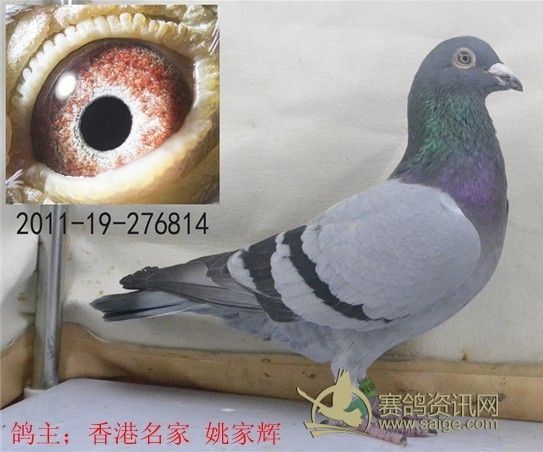 8a510bb6-843a-454d-9588-847c4daabb9f.jpg