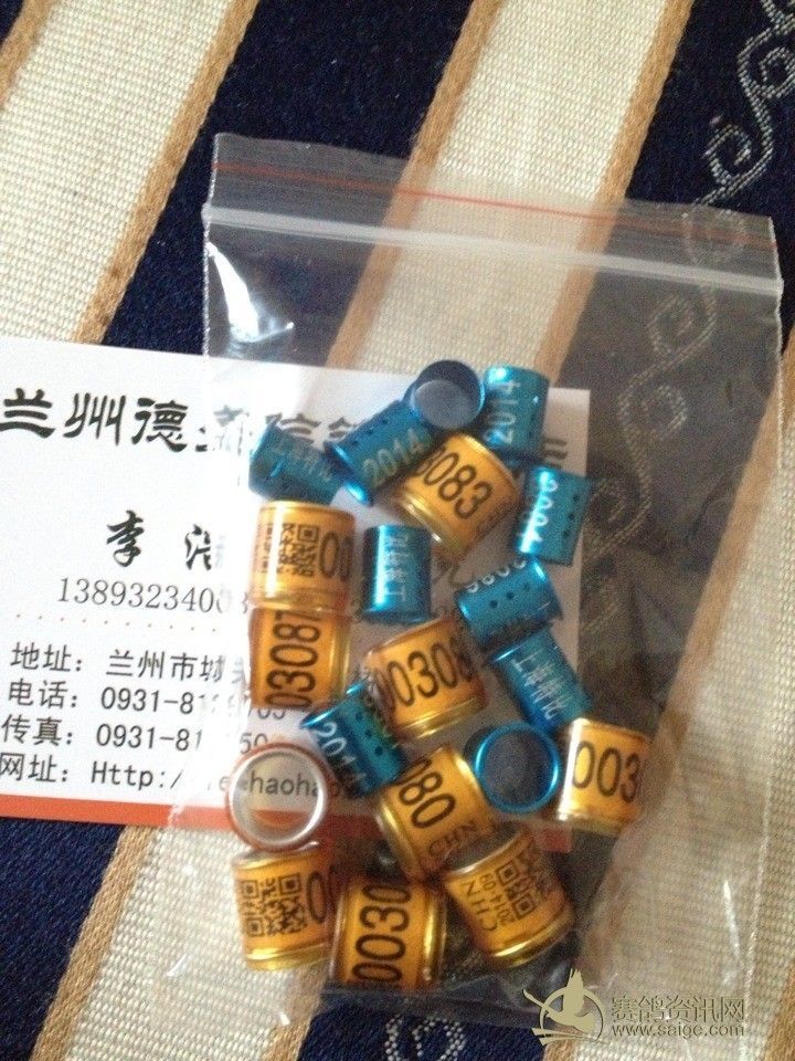 2014年上海特比环