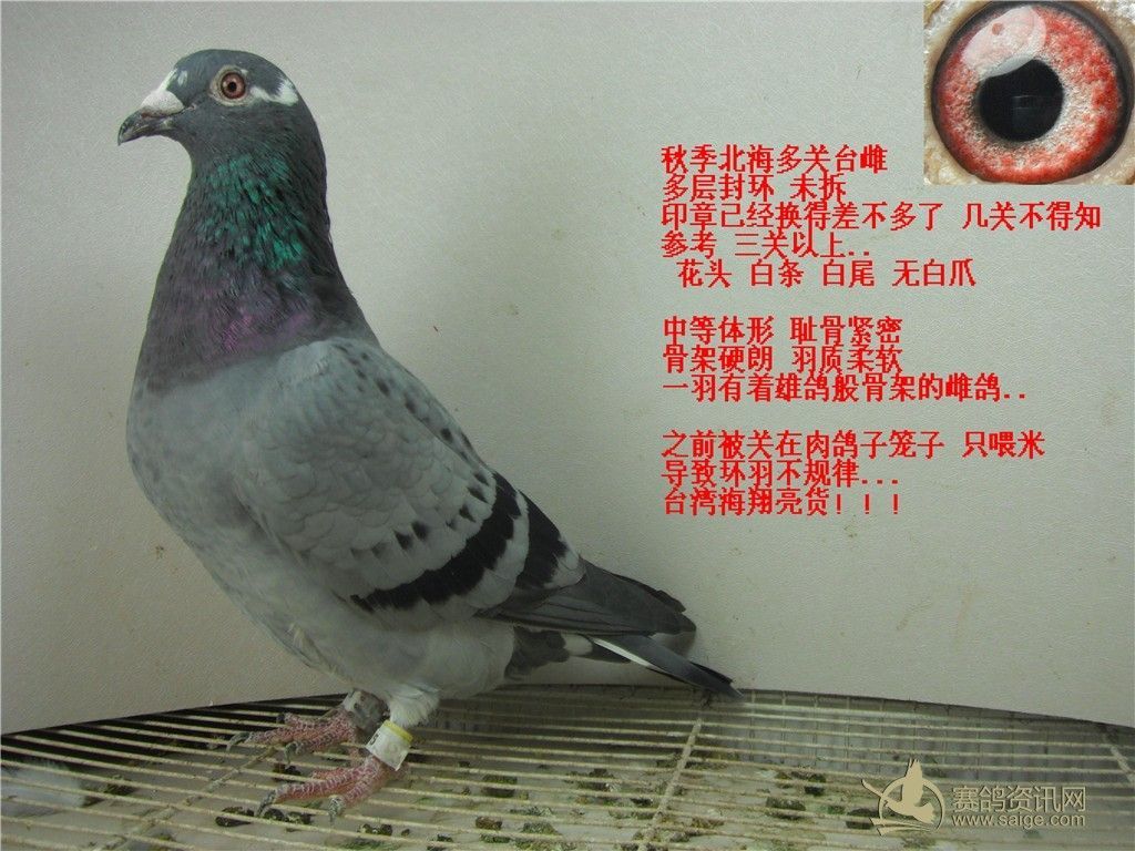 必须署上作者的名字,同时注明