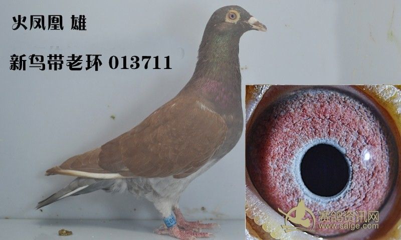 a2210ec6-86d6-4bb6-a2b5-48d958d0e91e.jpg