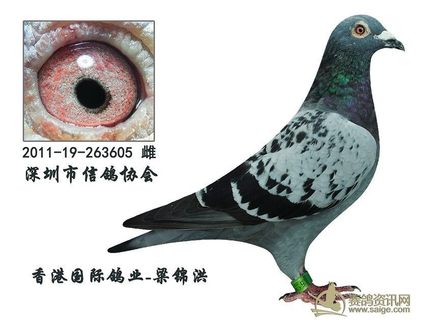 a38fc5dc-1112-47cd-92d7-a85e54b51bba.jpg
