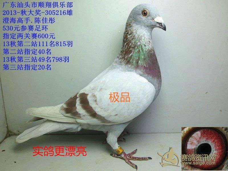 红二线.已售潮南.