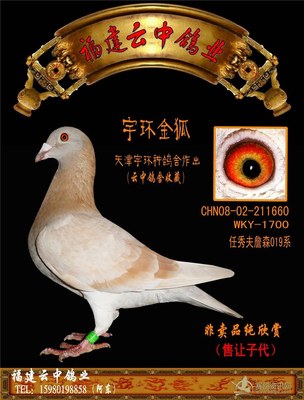 86a9580c-2c82-4a42-a518-5b9ec9169039.jpg