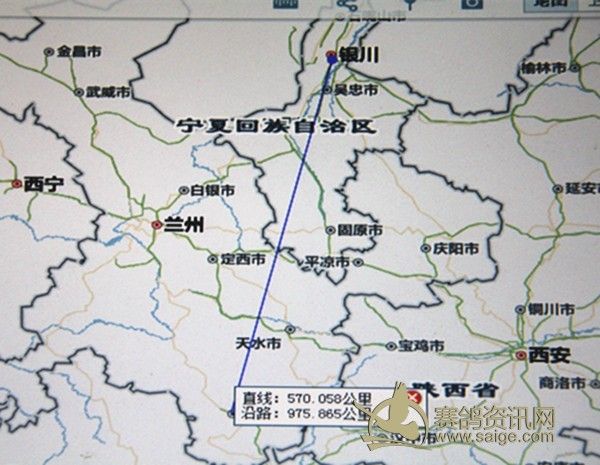 今日甘肃省陇南市信鸽比赛应为600公里级别的比赛项目.图片