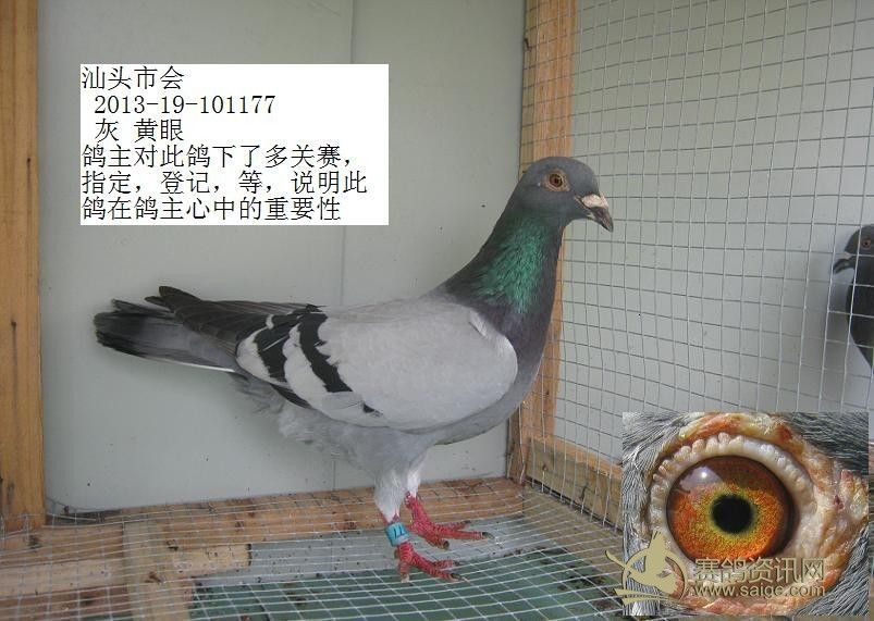 d9446993-a063-4929-b9df-ccc646e99514.jpg