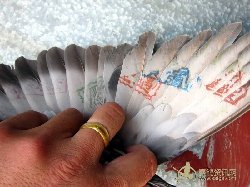 14夏季南海正五关(1),印章图片,敬请关注!