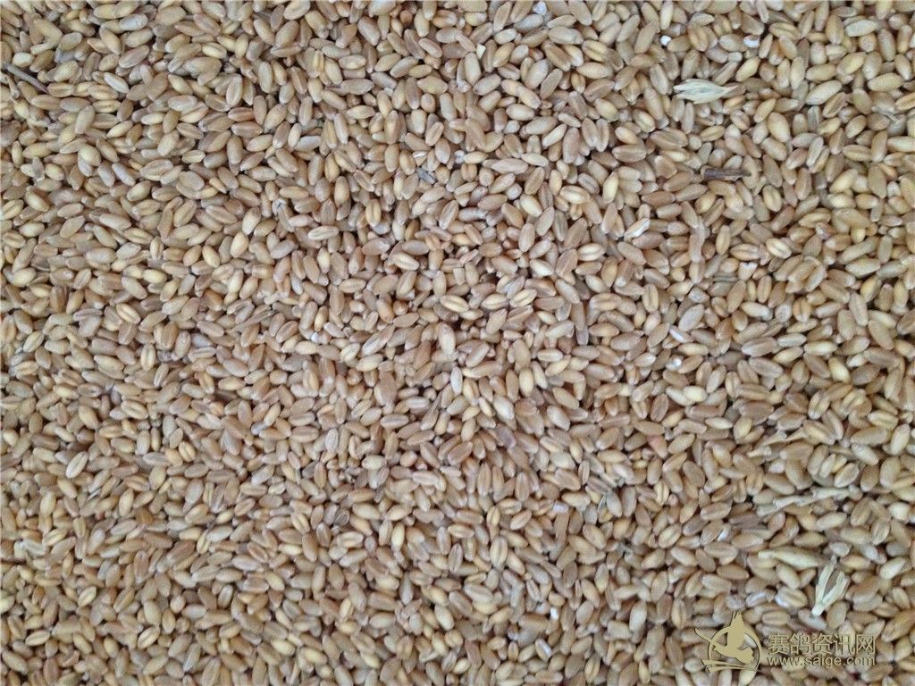 饲料价格图片.支持物流_赛鸽资讯网商城