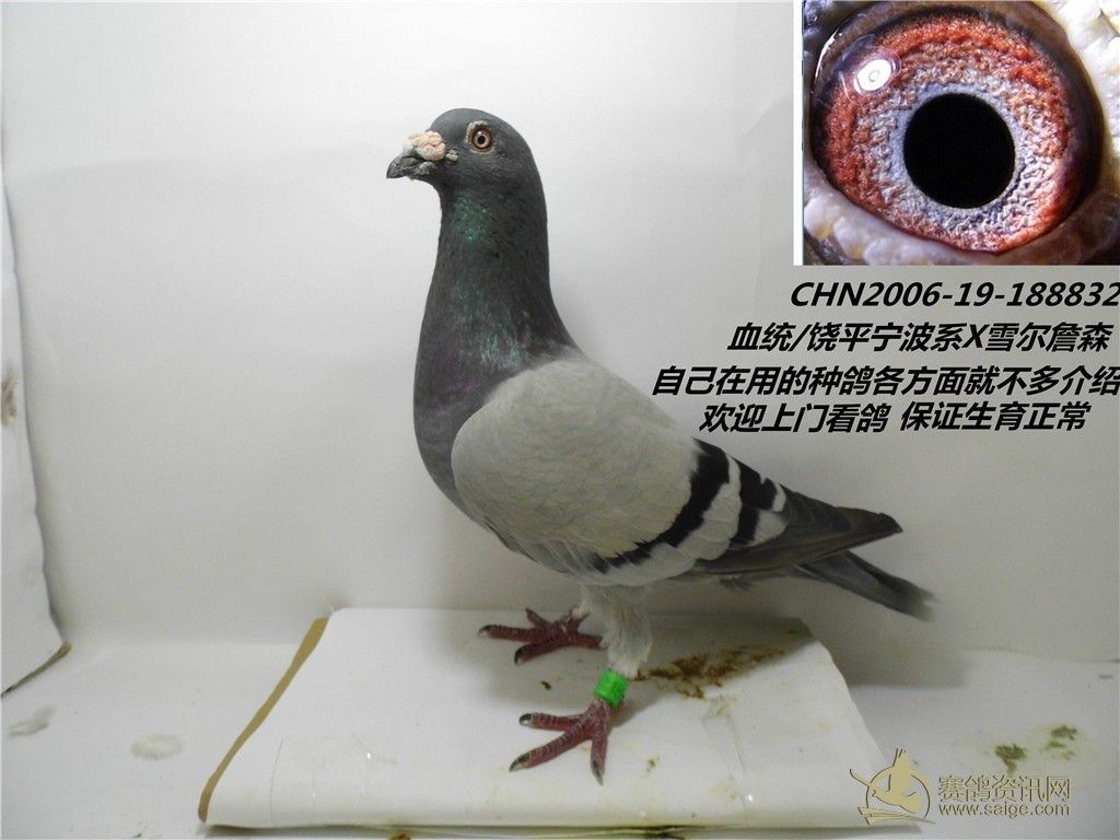 e404b0ca-5280-4e2d-b8d1-bf291d8948bd.jpg