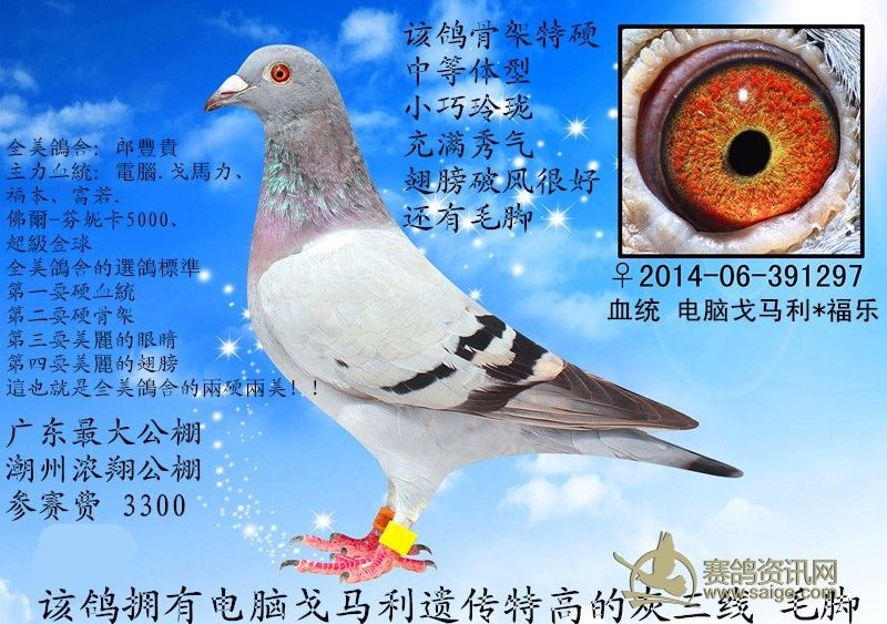 8f972e75-8a50-493e-ac90-26c7a99f800b.jpg