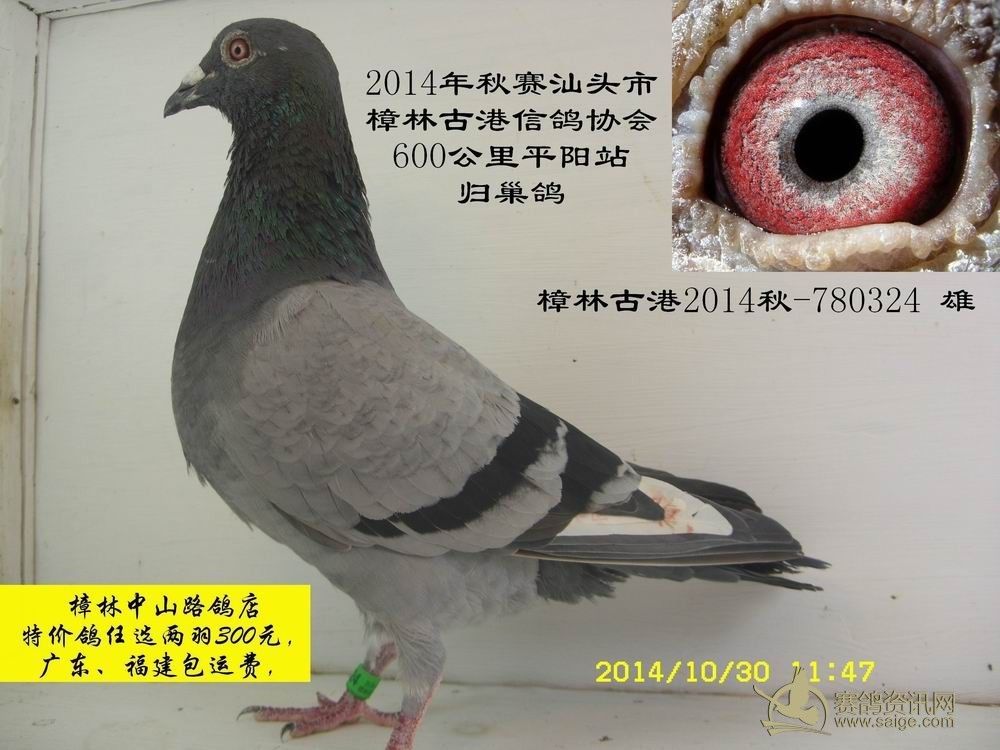 acda341f-870c-4e0d-92d1-54759bf627d7.jpg
