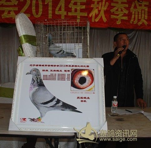 2014年海城市信鸽协会颁奖及拍卖会_藏经阁-