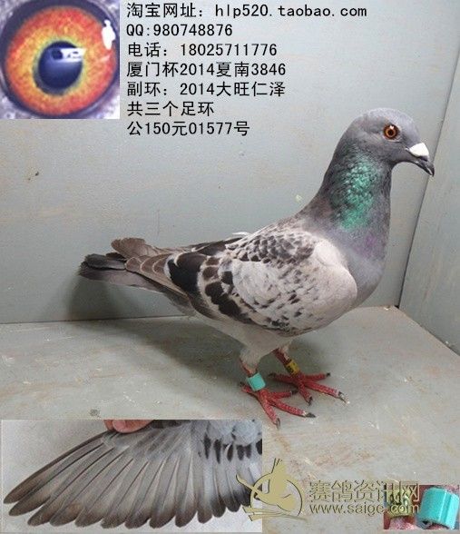 3feaab28-0328-46f4-9314-b0a57ee987ad.jpg