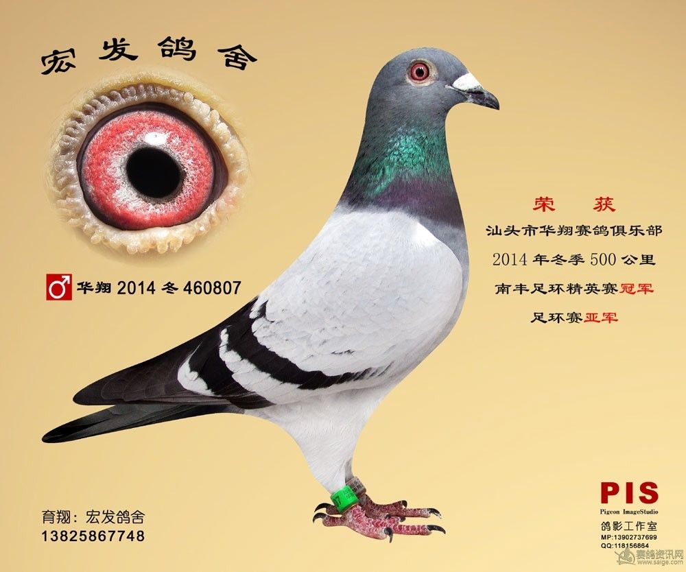 14�껪���㻷�Ǿ�