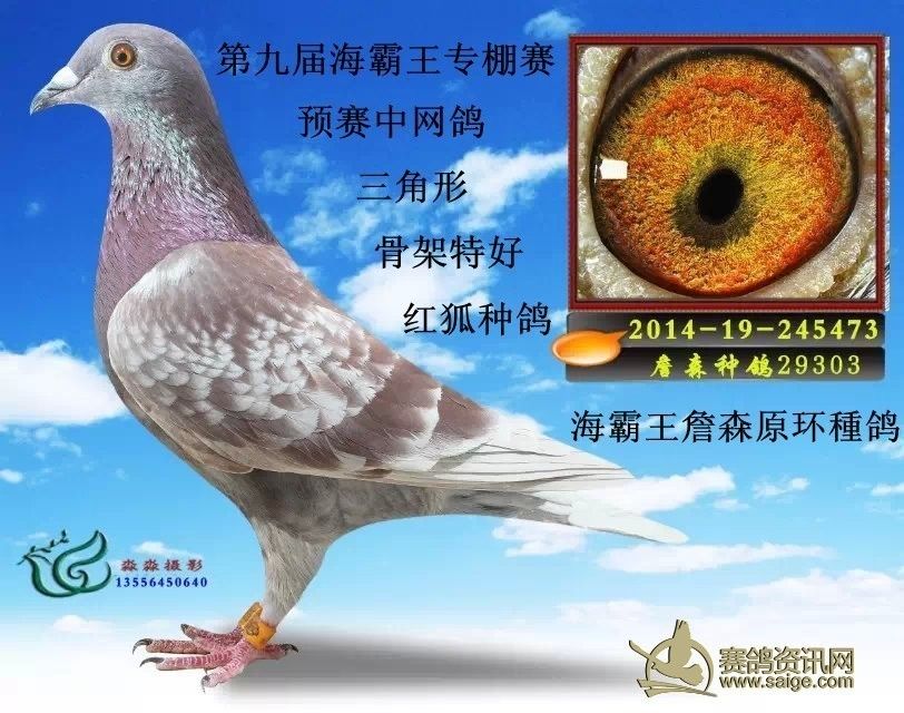79f7721b-8a29-4a03-8d25-4f76ab0cd53f.jpg