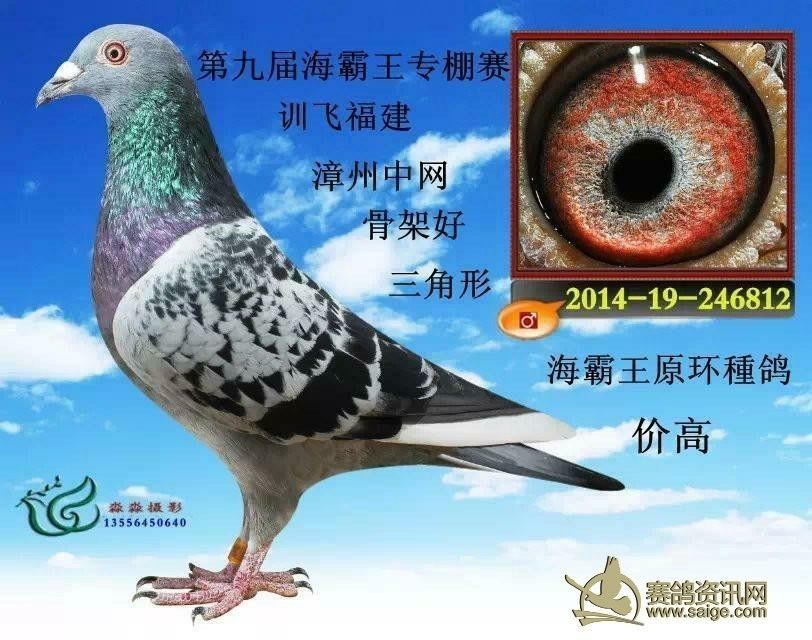 c23a01cc-470a-4faf-b414-52bbaa38768e.jpg