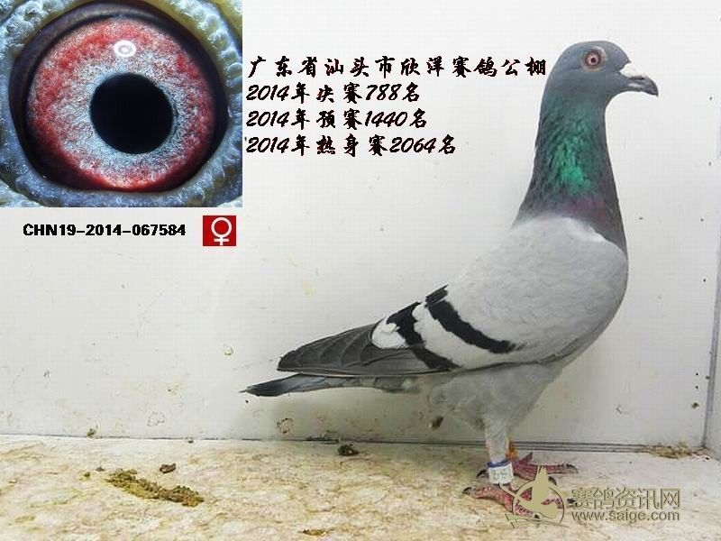 793a9d15-ca5d-4170-933c-f57241e8a33a.jpg