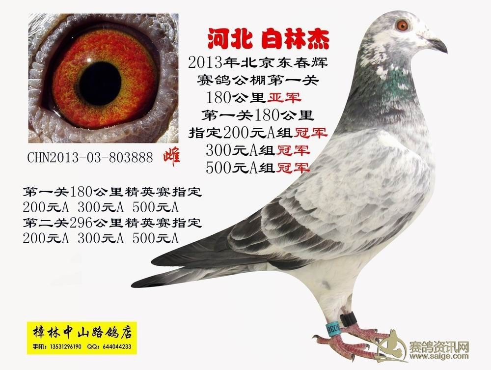 ӱ ֽ 빫 ع