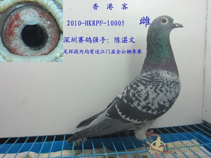 198f7c33-1ce3-4785-a861-4c35cd55a019.jpg
